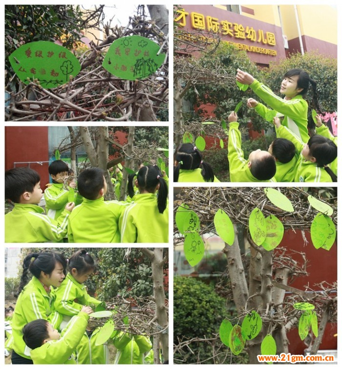 添一點(diǎn)新綠，溫馨又美好——湖北仙桃和合偉才幼兒園植樹節(jié)活動