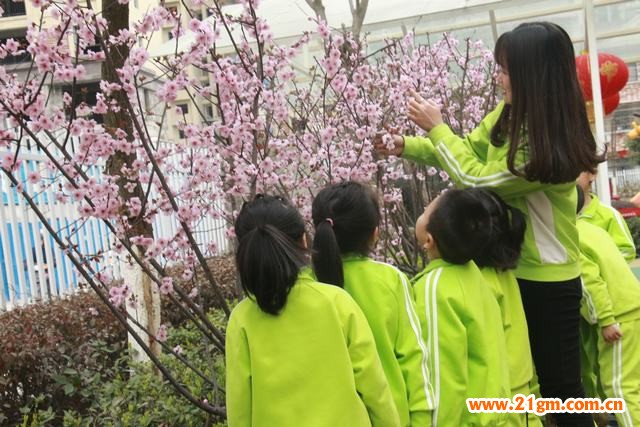 添一點(diǎn)新綠，溫馨又美好——湖北仙桃和合偉才幼兒園植樹節(jié)活動