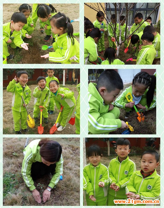 添一點(diǎn)新綠，溫馨又美好——湖北仙桃和合偉才幼兒園植樹節(jié)活動