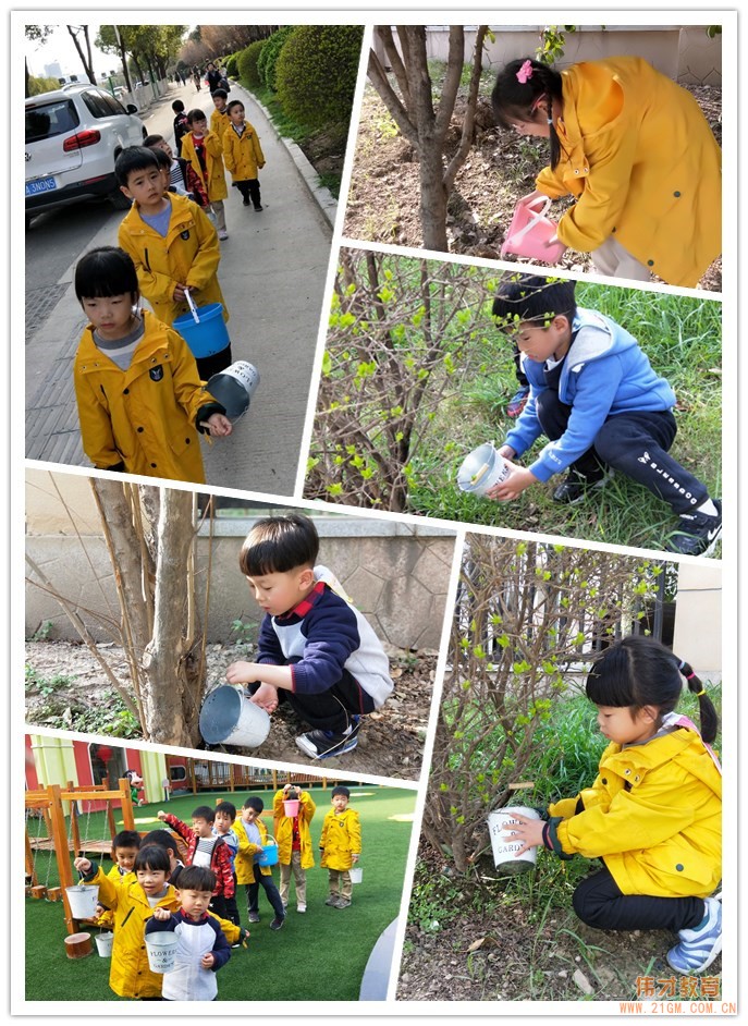 湖北武漢水岸星城偉才國(guó)際幼兒園：植一顆種子，育一顆大樹(shù)