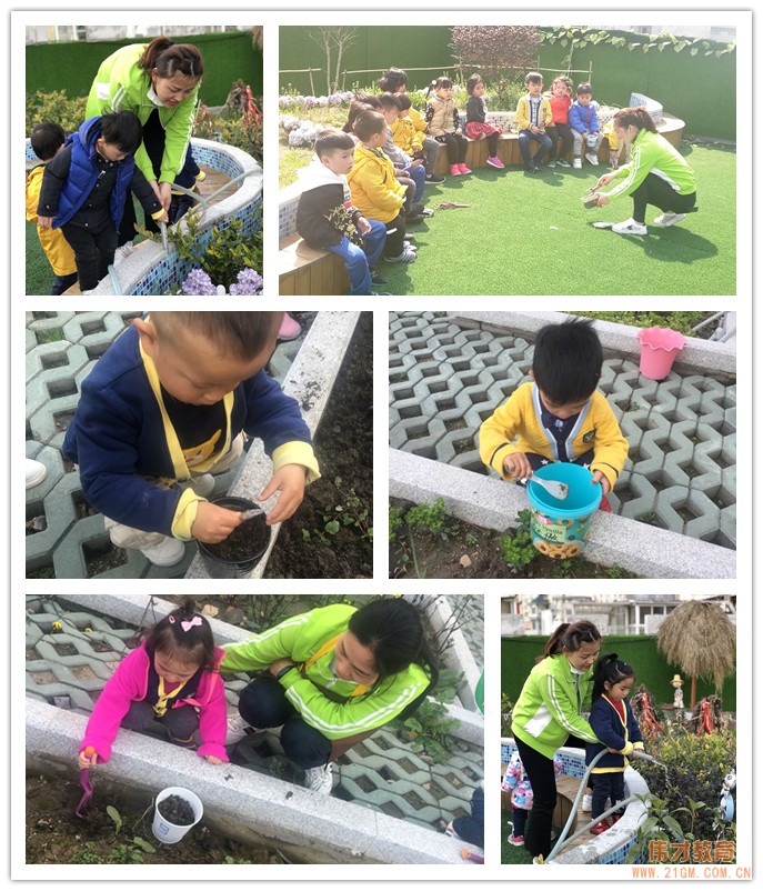 湖北武漢水岸星城偉才國(guó)際幼兒園：植一顆種子，育一顆大樹(shù)