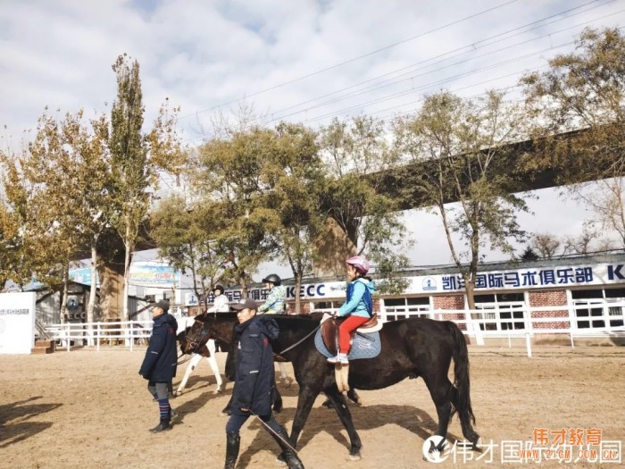 遼寧大連偉才幼兒園:馬術課