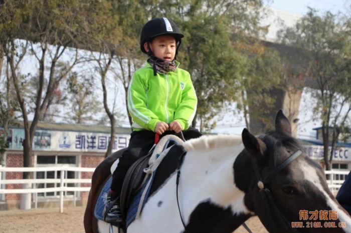遼寧大連偉才幼兒園:馬術課