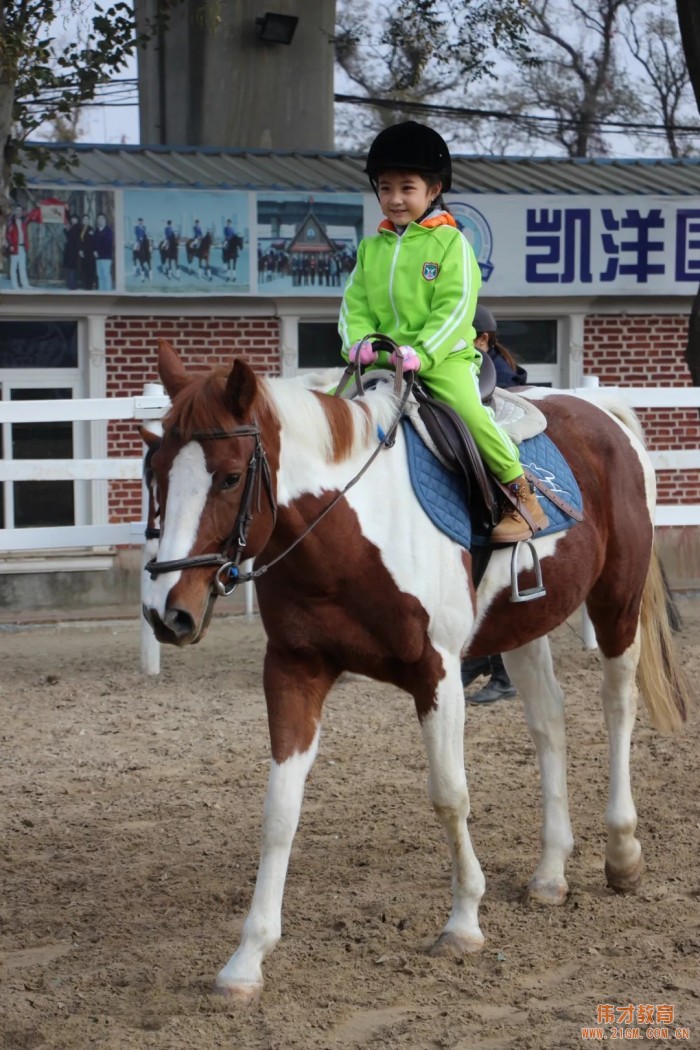 遼寧大連偉才幼兒園:馬術課