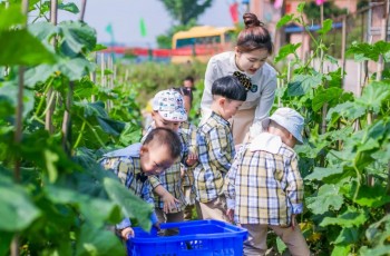 2022年，民辦園抬頭看天